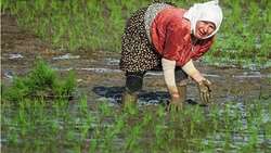 Iran Adopts New Approaches to Enhance the Rural Women’s Role